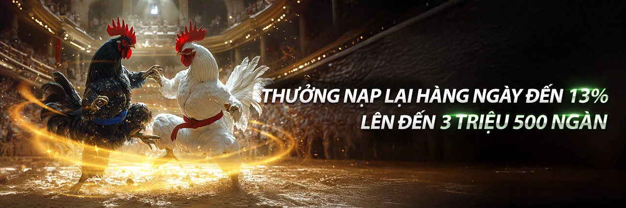 Hướng dẫn cá cược thể thao RW88 chi tiết